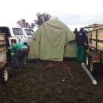 Benson Wendys gallery