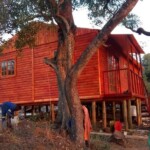 Benson Wendys gallery